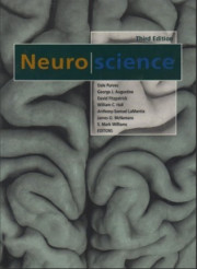 NEURO SCIENCE EDISI 3