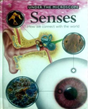 UNDER THE MICROSCOPE SENSE HOW WE CONNECT WITH THE WORLD 6